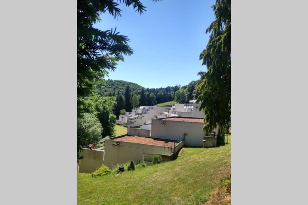 Studio Au Coeur Des Volcans D Auvergne - Murol Esterno foto